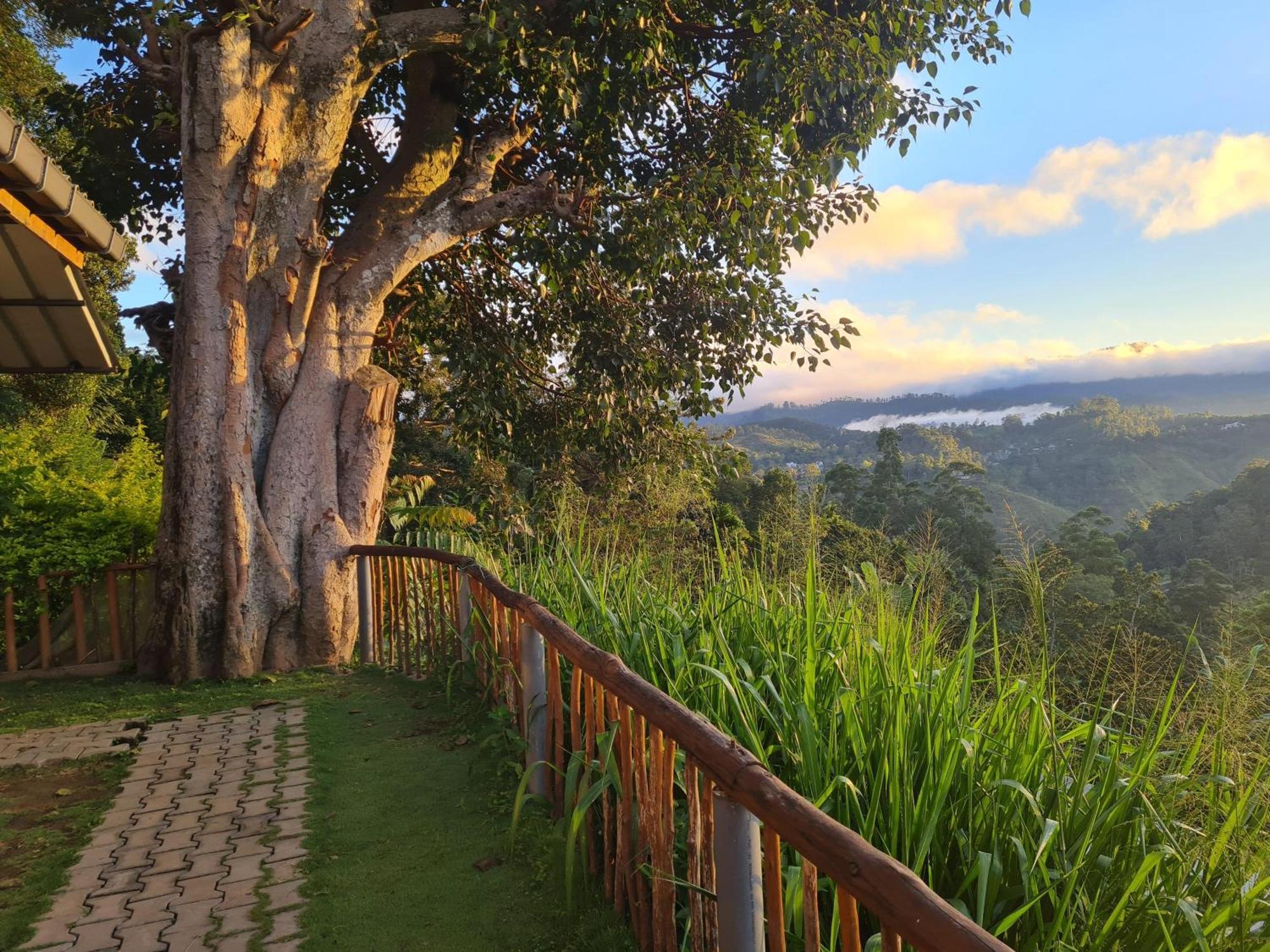 Rainbow Sky Cottage Ella Ngoại thất bức ảnh