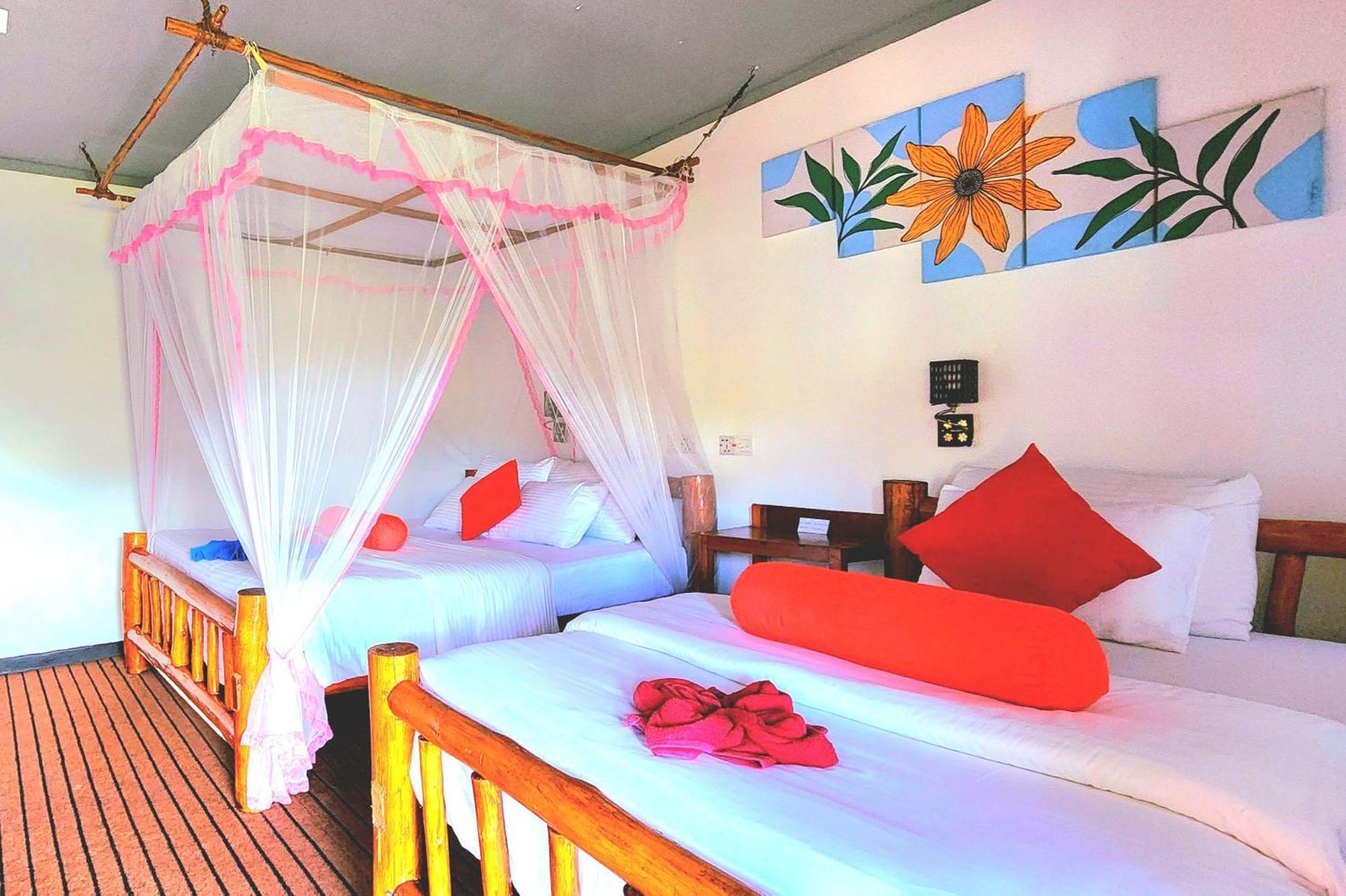 Rainbow Sky Cottage Ella Ngoại thất bức ảnh