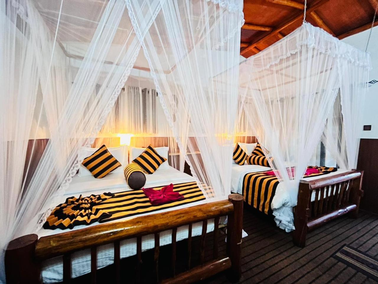 Rainbow Sky Cottage Ella Ngoại thất bức ảnh